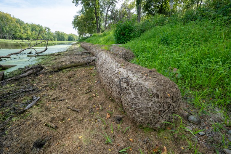 Logs are lined up between a green, grassy area and a sandy area next to a river.