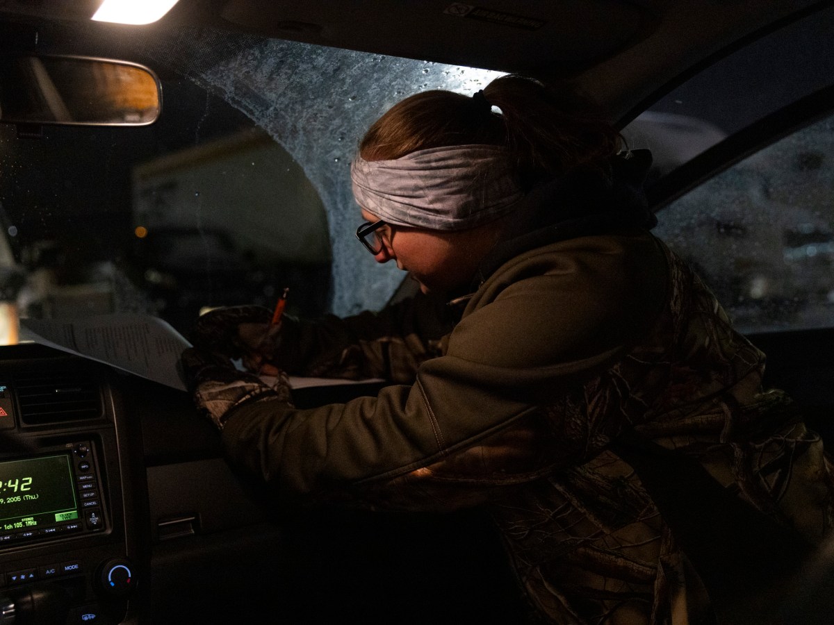 Woman inside a car