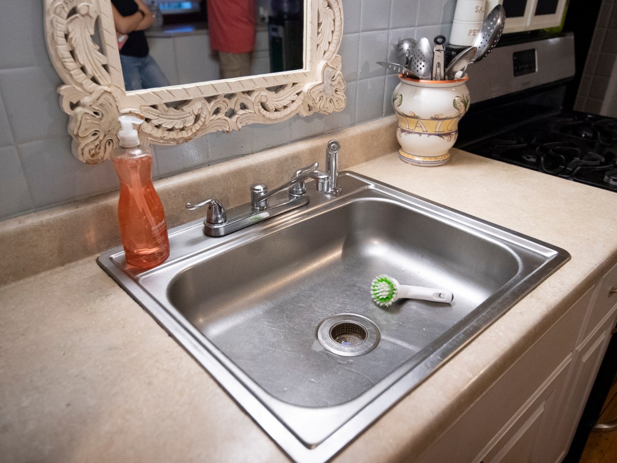 Scrub brush lies in a sink.